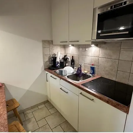 Au Centre De Haute-nendaz 아파트 넨다즈